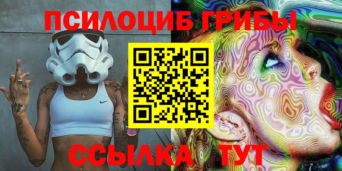 Псилоцибиновые грибы Psilocybe  Псилоцибиновые грибы GOLDEN TEACHER  Мытищи  хочу   Вход с VPN 