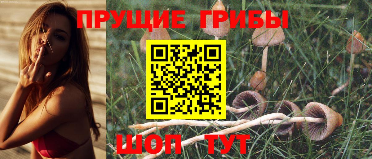 Галлюциногенные грибы ЛСД Мытищи